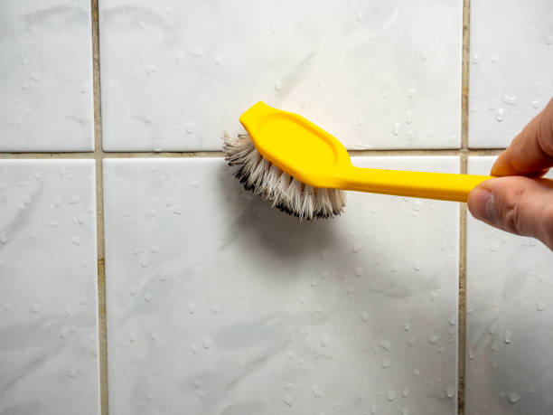 Best DIY Mold Remediation Support Services in Muleshoe, TX