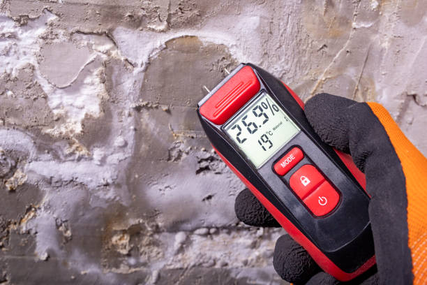 Best Health and Safety Mold Remediation in Muleshoe, TX